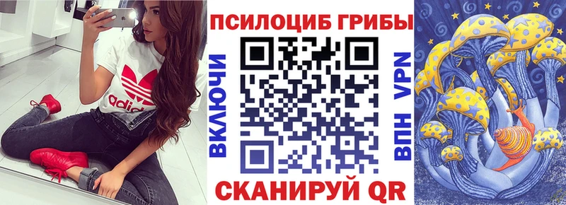 Псилоцибиновые грибы MAGIC MUSHROOMS  купить наркоту  Юхнов 